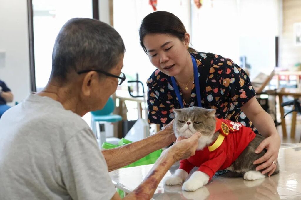 Bak Nyi Zai’s owner Rybina observed that patting Bak Nyi Zai brings patient comfort. Photo by Lianhe Zaobao.