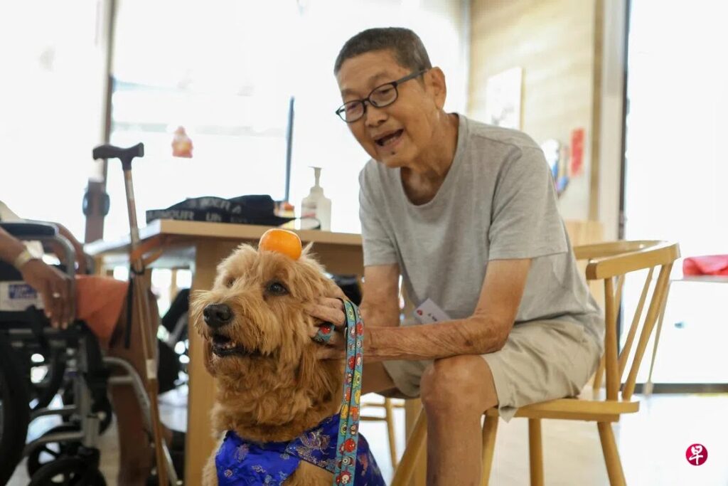 Therapy dog Bailey bringing joy to patients with his orange balancing trick. Photo by Lianhe Zaobao.